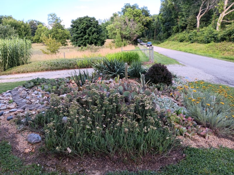 Garden photo